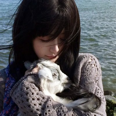 十二猴子第四季